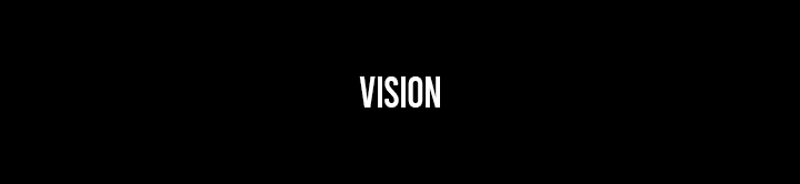 Vision