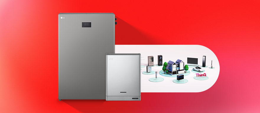 LG WEBSHOP